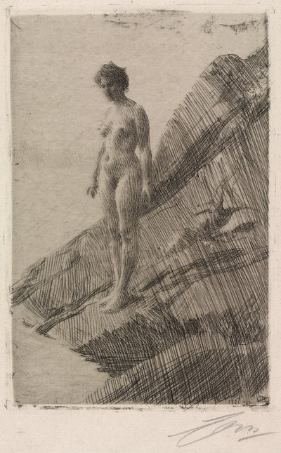 Tämä se on tekijältä Anders Leonard Zorn