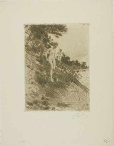 peloissaan tekijältä Anders Leonard Zorn