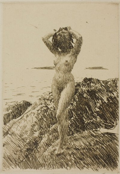 Hårtång (merileväseppele) tekijältä Anders Zorn