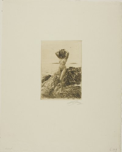 Hårtång (meripuuseppele) tekijältä Anders Leonard Zorn