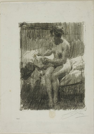 Mallin lukeminen tekijältä Anders Leonard Zorn