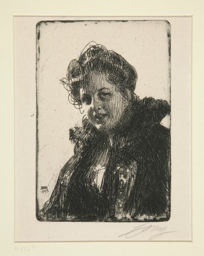 Rouva. Granberg tekijältä Anders Leonard Zorn