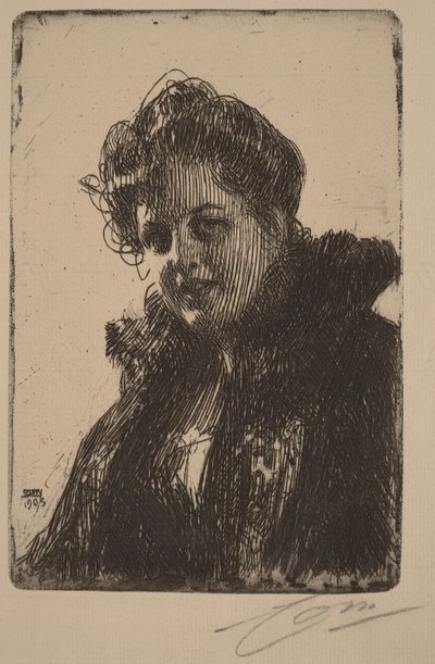  tekijältä Anders Zorn
