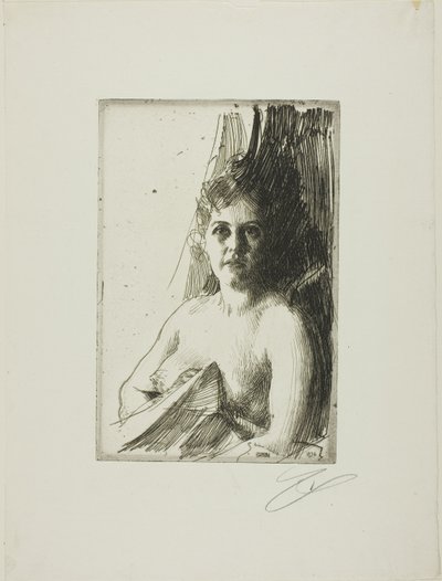 Alastontutkimus III tekijältä Anders Leonard Zorn