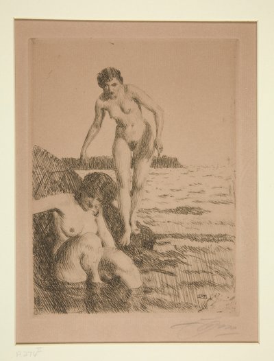 Hemson saarella tekijältä Anders Leonard Zorn