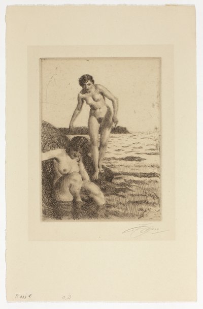 Hemsön saarella tekijältä Anders Zorn