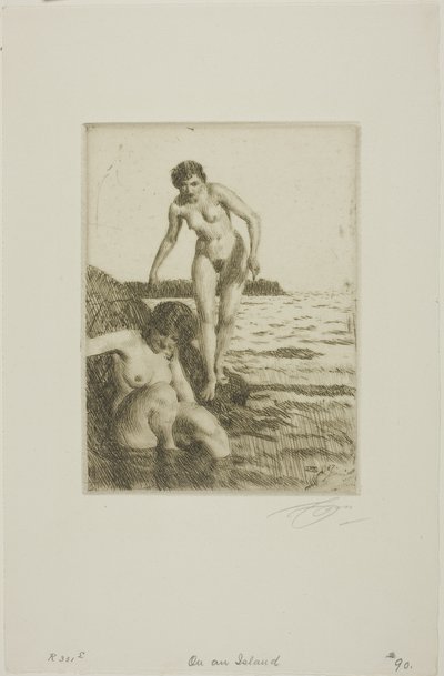 Hemsön saarella tekijältä Anders Leonard Zorn