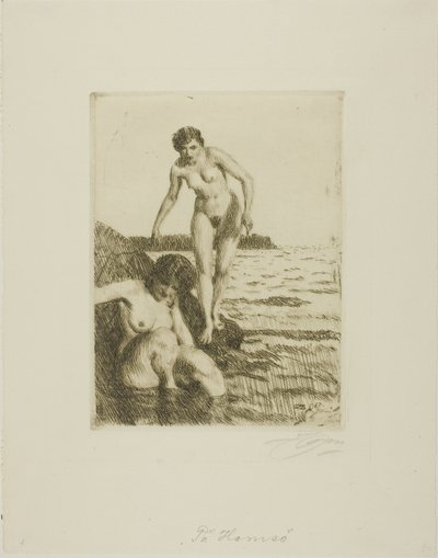 Hemsön saarella tekijältä Anders Leonard Zorn
