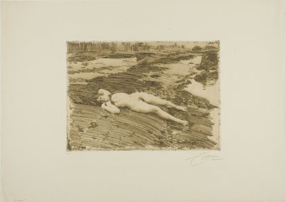 Hiekoilla tekijältä Anders Leonard Zorn