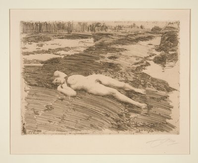 Hiekoilla tekijältä Anders Leonard Zorn