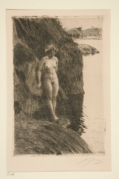 Erityisesti tekijältä Anders Leonard Zorn