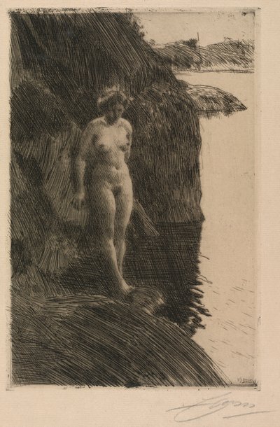 Sakka tekijältä Anders Leonard Zorn