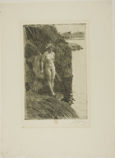 Sakka tekijältä Anders Leonard Zorn