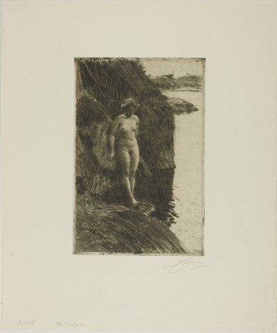 Sakka tekijältä Anders Leonard Zorn
