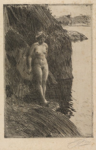Sakka tekijältä Anders Zorn
