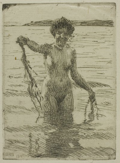 Merilevä tekijältä Anders Leonard Zorn