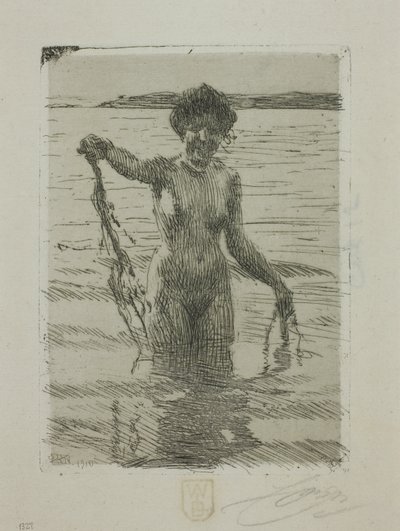 Merilevä tekijältä Anders Leonard Zorn