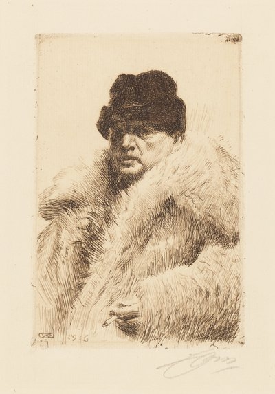  tekijältä Anders Zorn