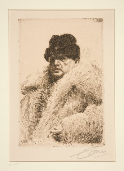  tekijältä Anders Zorn