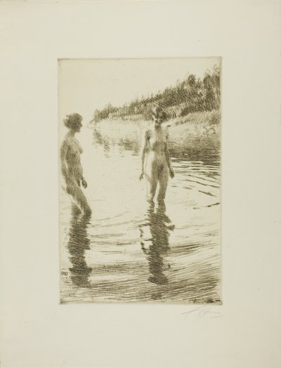 Matala tekijältä Anders Leonard Zorn