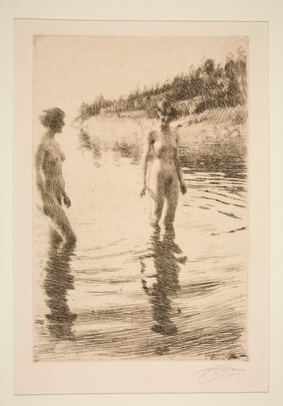 Matala tekijältä Anders Leonard Zorn