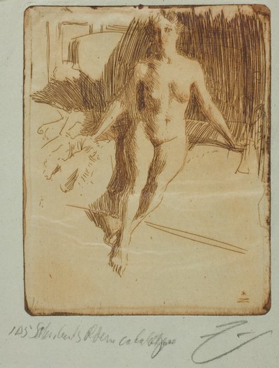 Tutkimus mallilta tekijältä Anders Leonard Zorn