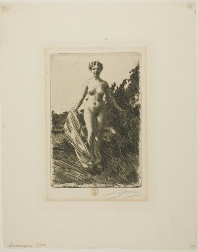 Kesä tekijältä Anders Leonard Zorn