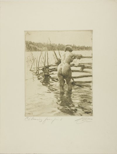 Aita tekijältä Anders Leonard Zorn