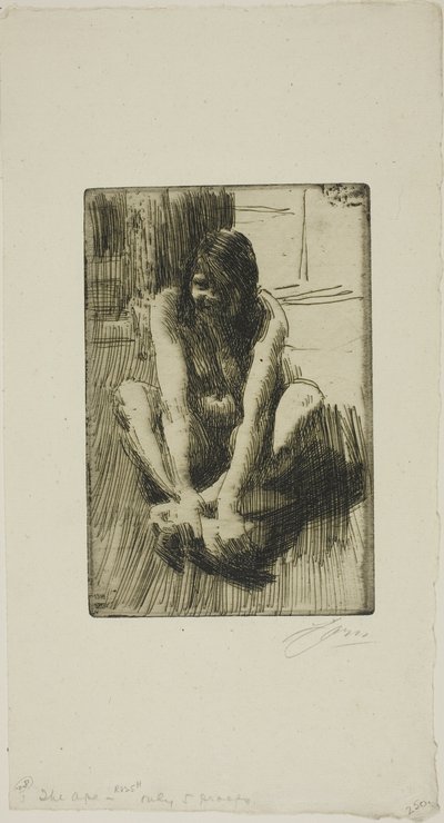 Sammakko tekijältä Anders Leonard Zorn