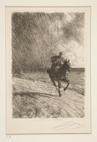 Myrsky tekijältä Anders Leonard Zorn