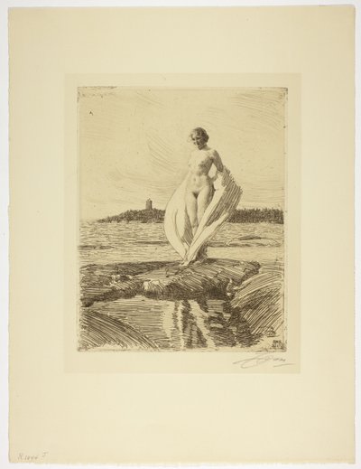 Joutsen tekijältä Anders Leonard Zorn