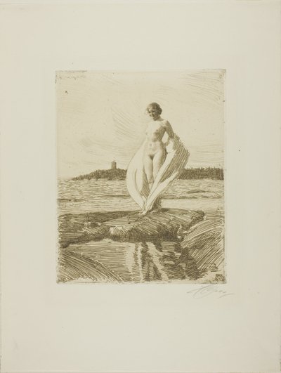 Joutsen tekijältä Anders Leonard Zorn
