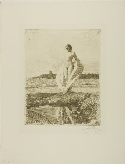Joutsen tekijältä Anders Leonard Zorn