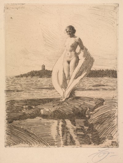 Joutsen tekijältä Anders Leonard Zorn