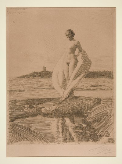 Joutsen tekijältä Anders Leonard Zorn