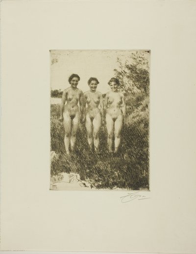 Kolme siskoa tekijältä Anders Leonard Zorn