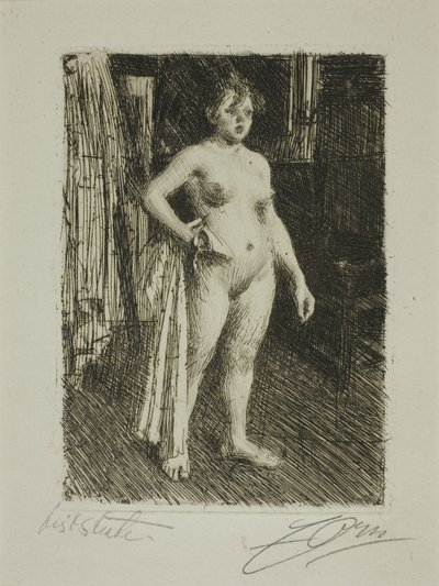 Venus La Villettesta tekijältä Anders Leonard Zorn