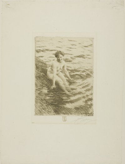 Märkä tekijältä Anders Leonard Zorn
