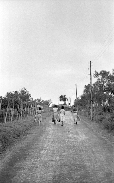 KATKERAT VIINIRYPÄLEET - KOHTI OSOITETTUA VIRKAA tekijältä Ando Gilardi