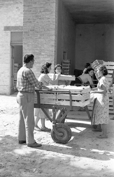 KATKERAT VIINIRYPÄLEET - VARASTOINTI tekijältä Ando Gilardi