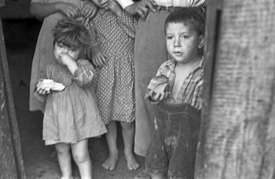 LAPSUUS CROTONEN MAASEUDULLA, tekijältä Ando Gilardi