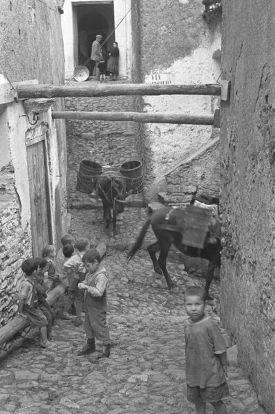 LAPSET, MELISSA tekijältä Ando Gilardi