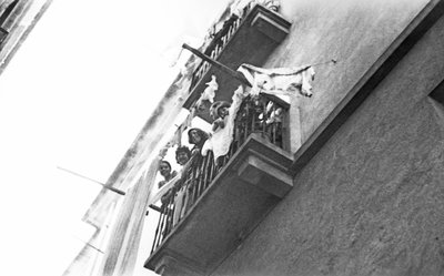 CROTONE tekijältä Ando Gilardi