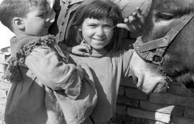 CROTONE - ELÄMÄÄ TYÖLÄISKYLISSÄ, tekijältä Ando Gilardi