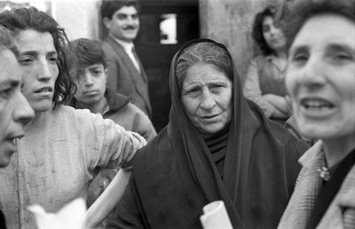 CROTONE - SUOSITTELUT tekijältä Ando Gilardi