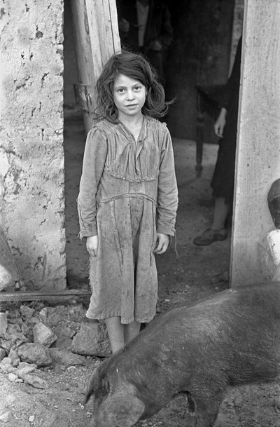 CROTONEN MAASEUTU - TYTTÖ JA SIKA tekijältä Ando Gilardi