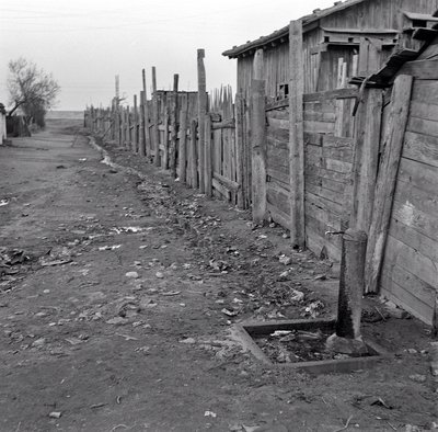 VUOSINELJÄNNEKSEN LOPUSSA SHANGHAI tekijältä Ando Gilardi