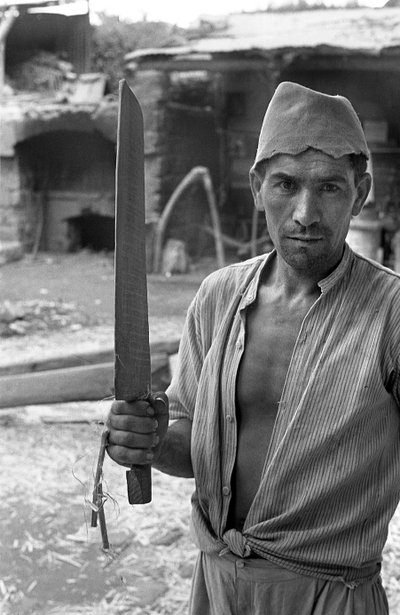 HAMPUN JALOSTUS, TYÖMIES JA "LASTALLA" VARUSTETTU TYÖMIES tekijältä Ando Gilardi