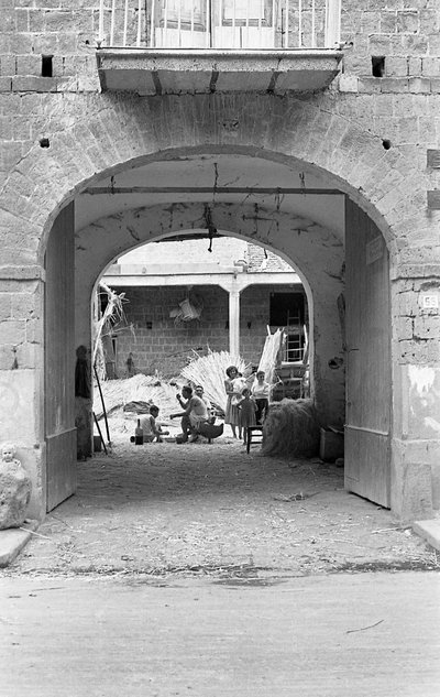 HAMPUN JALOSTUS, AAMIAINEN TÖISSÄ tekijältä Ando Gilardi