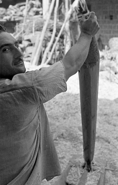 HAMPUN JALOSTUS, MACENNELA tekijältä Ando Gilardi